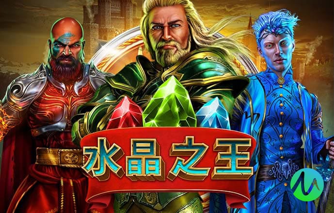 2024新澳门正版免费资木车